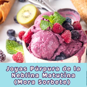 Joyas Púrpura de la Neblina Matutina (Mora Sorbete) 💜✨👅